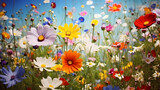Fototapeta Kwiaty - Colorful floral seamless pattern