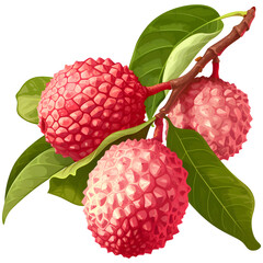 Sticker - Lychee on isolated background