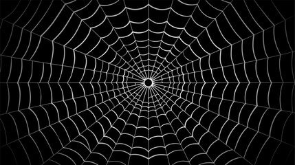 Spider web on a black background. Vector illustration of a spider web
