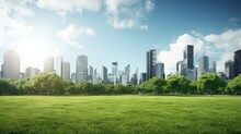 Modern City Skyline With Green Lawn