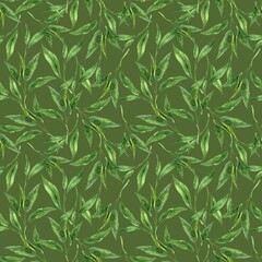 Wall Mural - Watercolor pattern of fresh tea leaves on a green background. Hand drawn illustration on isolated background, suitable for menu design, packaging, poster, website, textile, invitation, ceramics