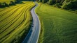 Aerial view a highway in a green wheat field, shap of 