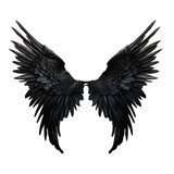 Fototapeta Pokój dzieciecy - black wings isolated on white