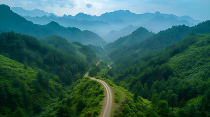 Wall Mural - A long straight road surrounded by green trees and foggy mountains in the distance.