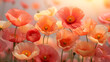 Poppy Pressed Flower background 