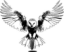 Black Vector Of Barn Owl Flying