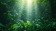 Tropical rainforest with sunbeams and ferns - Generative AI
