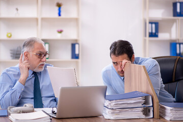 Wall Mural - Two male colleagues working in the office