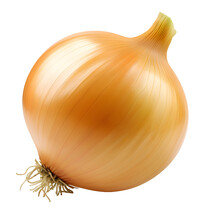 Yellow Onion Isolated On Transparent Background