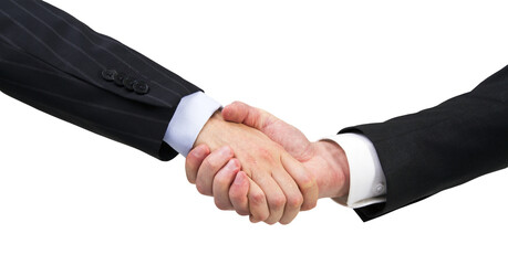 Wall Mural - Two professionals in suits engaging in a handshake, signifying a successful agreement