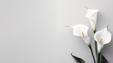 Zantedeschia or white calla lily on muted light grey background. Minimalist Sympathy Condolences Grief card. Copy space