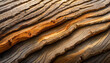 Strange wooden waves pattern nature background