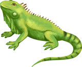 Fototapeta Dinusie - watercolor iguana