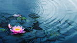 closeup of a beautiful water liliy plant underwater in a pond on a rainy summer day, nature scene background concept with copy space for spa, garden and relaxation