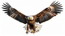 A Breathtaking 3D Rendering Of A Majestic Eagle, Exuding Power And Grace. With Its Wings Spread Wide And Piercing Eyes, This Stunning Artwork Captures The Essence Of Magnificence. Perfectly