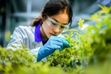 Fototapeta  - Female scientist in lab coat carefully examining plants in a modern agricultural research laboratory.