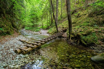 Wall Mural - Waterfall with ladder in canyon, sucha bela in Slovak Paradise, Slovensky Raj National Park, Slovakia. Discover spring hiking