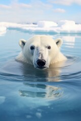 Wall Mural - Polar bear at the North Pole