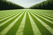 The texture of a freshly mowed lawn, adorned with neat and precise stripes, evokes a sense of meticulous care.
