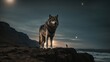 alone Wolf Standing on a Cliff Howling on Full Moon on beach