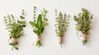 Herb Bundle Composition, medicinal herbs tied with twine or ribbon, background image, generative AI
