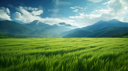 Wall Mural - big wide grass field in the mountains