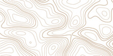 Background Of The Topographic Map. Topographic Map Lines, Contour Background. Geographic Abstract Grid. Vector Illustration.