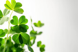 Concept of St. Patrick's Day, isolated on white background.