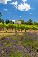 Sticker - Aiguines castle with vineyard, Alpes-de-Haute-Provence, Provence, France