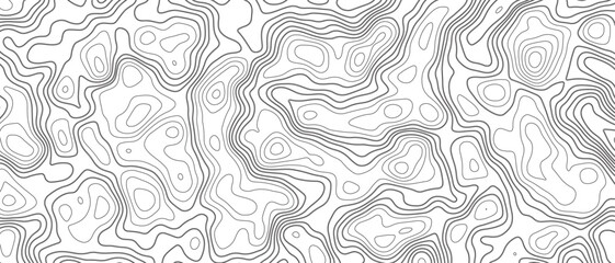 Wall Mural - pattern with lines. topographic map seamless pattern. abstract topography vector background. seamless pattern