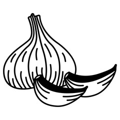 Wall Mural - Garlic glyph and line vector illustration