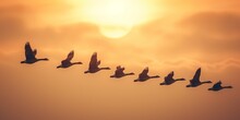 Silhouetted Flock Of Greylag Geese Flying In A V Formation, Symbolizing Migration. Сoncept Nature's Beauty, Majestic Wildlife, The Power Of Flight, Symbolic Migration, Graceful Geese