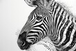 A detailed black and white illustration of a zebra, showcasing its unique striped pattern and anatomy, A intricately drawn zebra with stunning stripes, AI Generated
