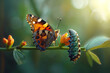 An animation illustrating the lifecycle of a butterfly, from caterpillar to chrysalis to butterfly. Concept of transformation and nature's wonders. Generative Ai.