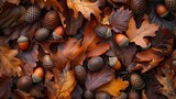 Autumnal close up of ripe acorns and oak leaves on the woodland ground of Wimbledon Common 