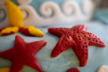 Starfish And Shells Cake