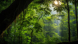 Fototapeta Dziecięca - Sunlight Filtering Through Trees in the Jungle