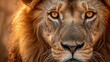 © sch_ai - A photo portrait of a male lion, generated with AI
