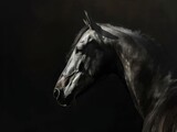 Fototapeta Konie - Fine art low key backlight horse equine photo 