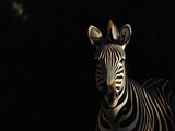 Fototapeta Konie - Fine art Zebra with a black background low key animal africa photo