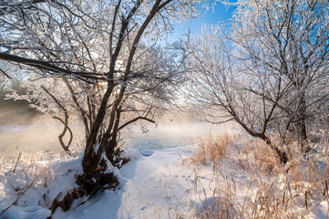 Wall Mural - Kuerbin rime sunrise landscape in Yichun city Heilongjiang province, China.