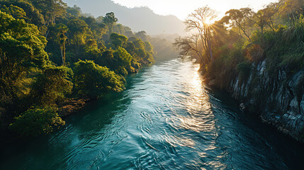 Aerial photography of a river in the Amazon