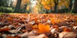 Autumn leaves on the ground. Natural background. Top view.