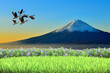 Natural view of flowers with mountains and blue sky in the background.