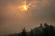Forest fire smoke with the silhouette of birds in the mountains of Canada