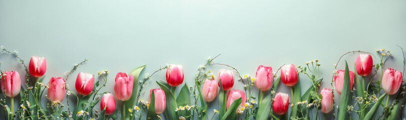 Wall Mural - Fresh cut tulips on pastel green background