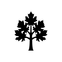 maple tree icon