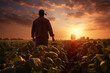 A farmer in a plaid shirt and cowboy hat stands in a lush field, watching over his crops as sunset