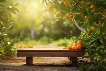 Wooden Table Place Of Free Space For Your Decoration And Orange Trees With Fruits In Sun Light