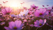 Beautiful Cosmos flower field in the morning